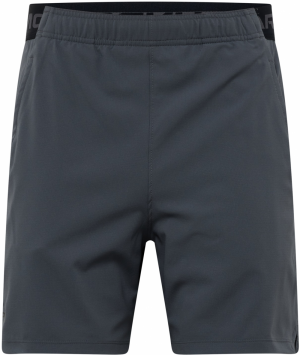 UNDER ARMOUR Športové nohavice 'Vanish'  sivá / čierna