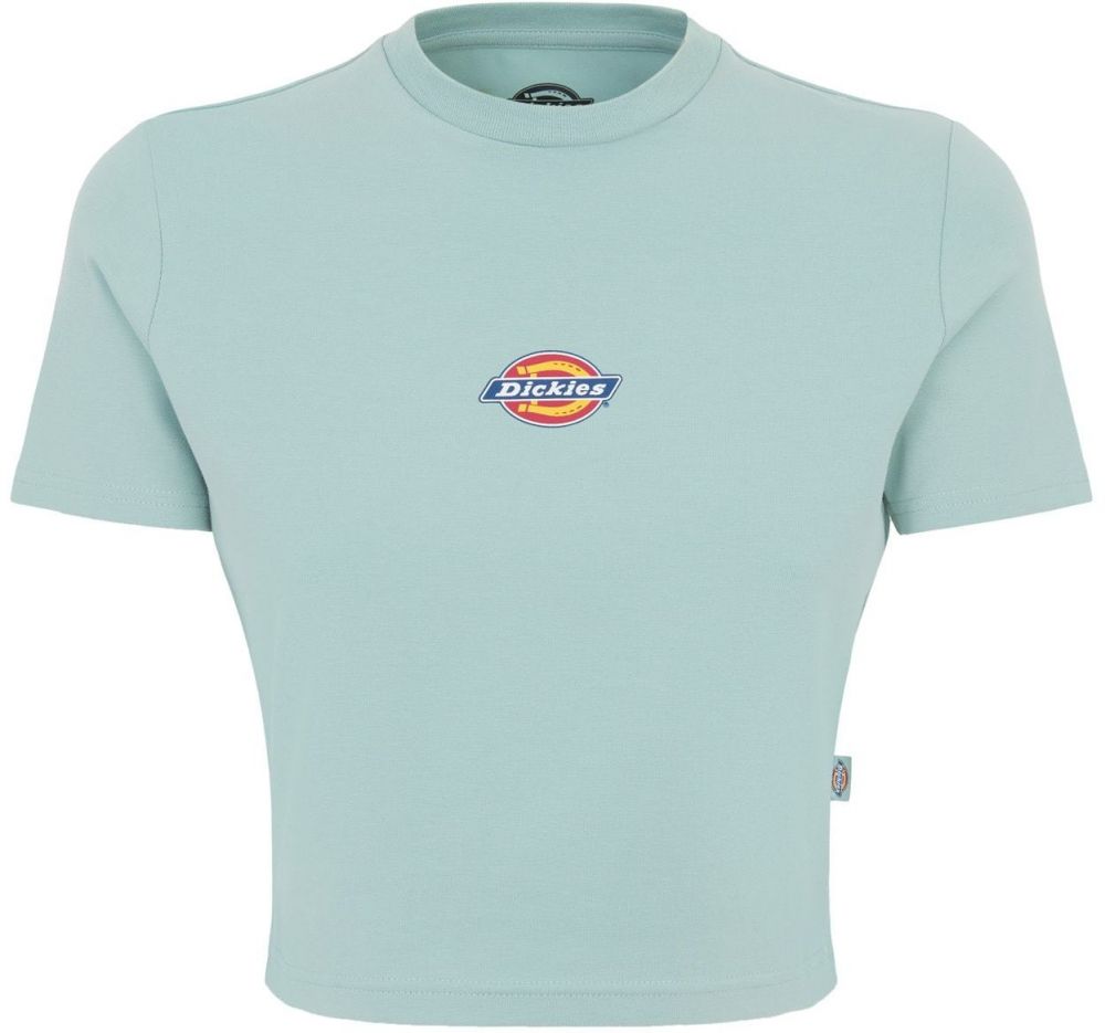 DICKIES Tričko 'MAPLE VALLEY'  modrá / tyrkysová / žltá / červená / biela
