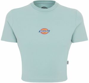 DICKIES Tričko 'MAPLE VALLEY'  modrá / tyrkysová / žltá / červená / biela