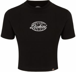 DICKIES Tričko 'GLOBE'  čierna / šedobiela