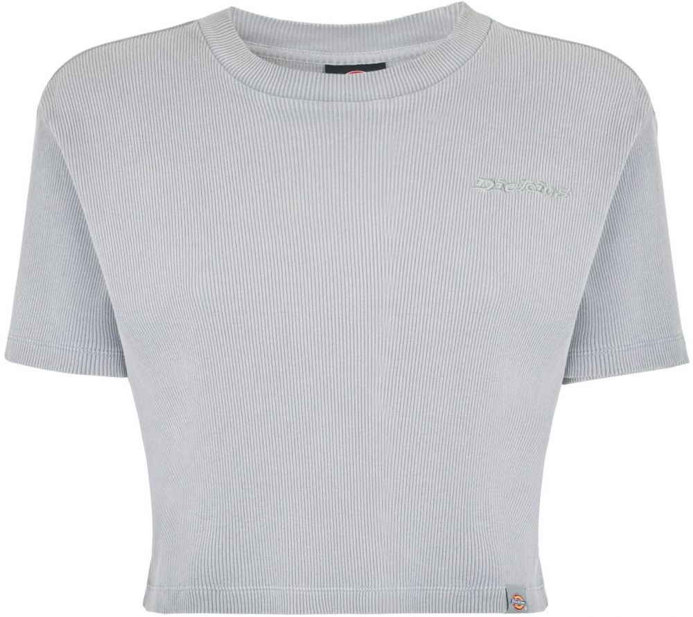 DICKIES Tričko 'PLENTYWOOD TEE SS W'  sivá