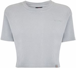 DICKIES Tričko 'PLENTYWOOD TEE SS W'  sivá
