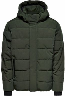 Only & Sons Zimná bunda 'ONSCayson'  tmavozelená