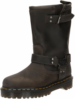 Dr. Martens Členkové čižmy 'Anistone'  antracitová