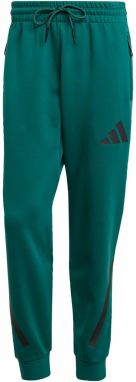 ADIDAS SPORTSWEAR Športové nohavice 'Z.N.E.'  jedľová / čierna