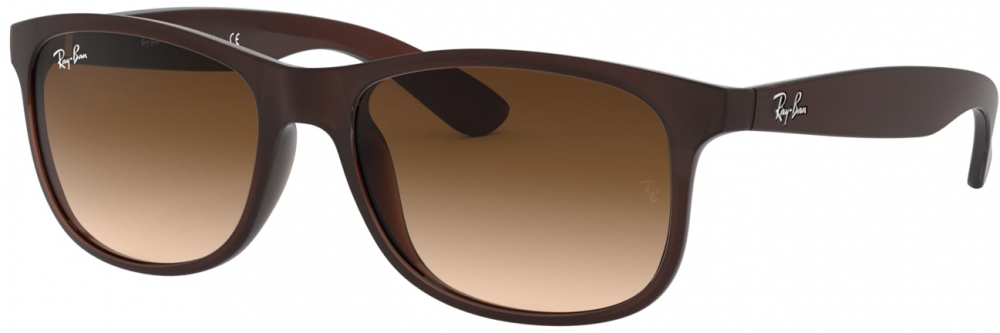 Ray-Ban Slnečné okuliare 'SPRITZGUSS'  hnedá