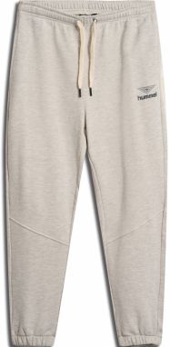 Hummel Nohavice 'Hive Lucas'  sivá melírovaná / čierna