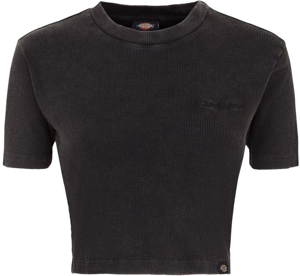DICKIES Tričko 'Plentywood'  čierna