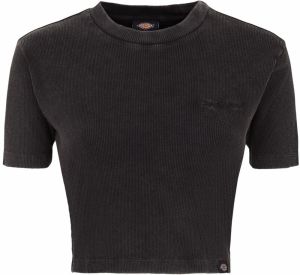 DICKIES Tričko 'Plentywood'  čierna