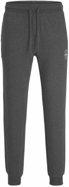 JACK & JONES Nohavice 'JPSTGordon JJShark'  antracitová / biela