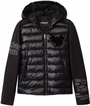 Desigual Zimná bunda  zmiešané farby / čierna