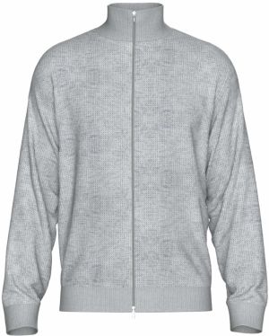 SELECTED HOMME Kardigán 'Dane'  svetlosivá