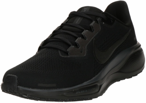 NIKE Bežecká obuv 'Pegasus 41'  čierna