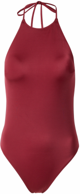 Calvin Klein Swimwear Jednodielne plavky  černicová