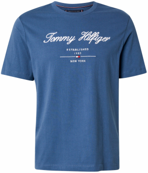 TOMMY HILFIGER Tričko  modrá / námornícka modrá / červená / biela