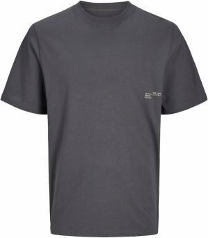 JACK & JONES Tričko 'JCOIdun'  sivá / ružová / biela