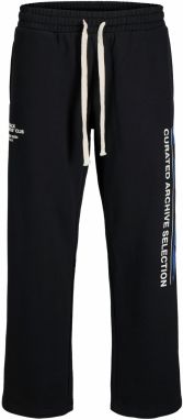 JACK & JONES Nohavice  čierna / šedobiela