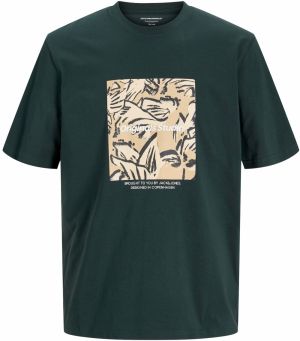 JACK & JONES Tričko 'JORVesterbro'  béžová / nebielená / jedľová / čierna