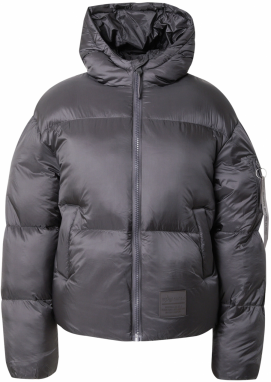 ALPHA INDUSTRIES Zimná bunda  tmavosivá