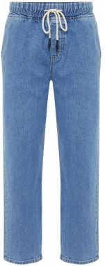 Trendyol Džínsy  modrá denim