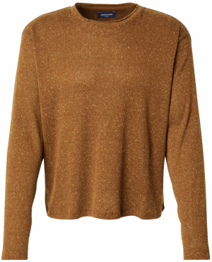 JACK & JONES Mikina 'JORWINTE'  čokoládová