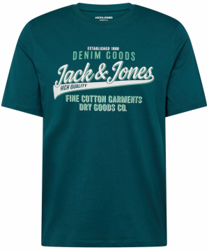 JACK & JONES Tričko  mätová / tmavozelená / biela