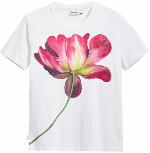 Desigual Tričko  zmiešané farby / biela