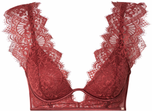 Hunkemöller Podprsenka 'Zoe'  brusnicová