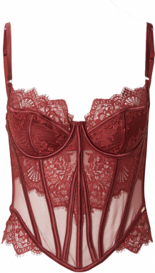 Hunkemöller Podprsenka 'Zoe'  bordová