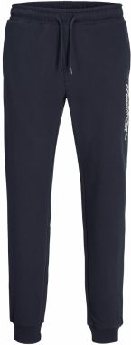 JACK & JONES Nohavice 'JPSTGORDON'  tmavomodrá / biela