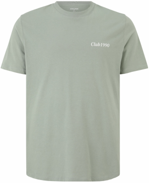 Jack & Jones Plus Tričko 'JJEBRADLEY'  limetová / pastelovo zelená / biela