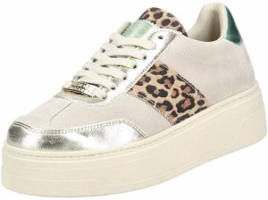 STEVE MADDEN Nízke tenisky 'Moxy'  béžová / zelená / čierna / strieborná