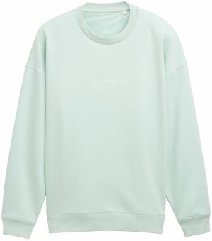 TOM TAILOR DENIM Mikina  mätová