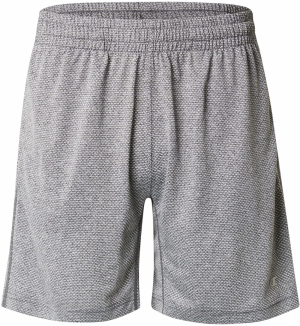 Champion Authentic Athletic Apparel Športové nohavice  svetlosivá / tmavosivá