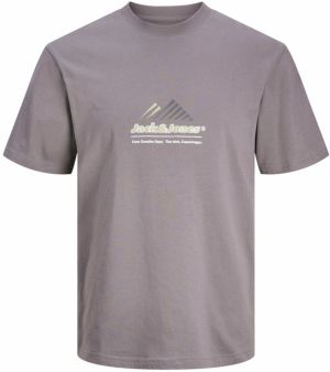 JACK & JONES Tričko 'JCOLIMA'  béžová / sivá / fialová / biela