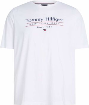 Tommy Hilfiger Big & Tall Tričko  námornícka modrá / červená / biela