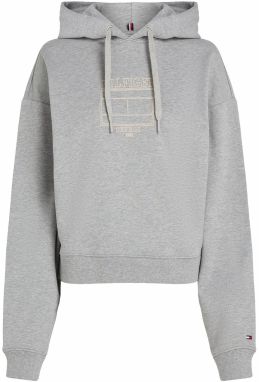 TOMMY HILFIGER Mikina  béžová / sivá