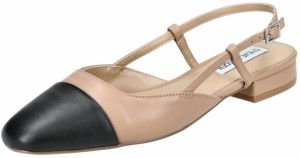 STEVE MADDEN Baleríny s ramienkom 'BELINDA'  hnedá / čierna