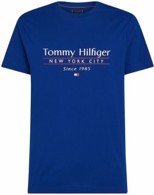 TOMMY HILFIGER Tričko  modrá / červená / biela