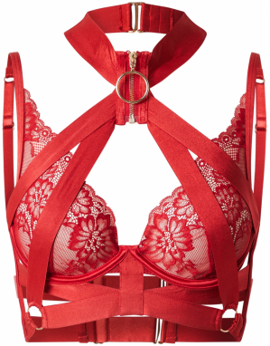 Hunkemöller Podprsenka 'CLEMENTINE UP'  červená