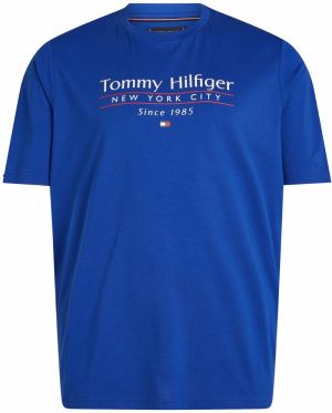 Tommy Hilfiger Big & Tall Tričko  modrá / červená / biela