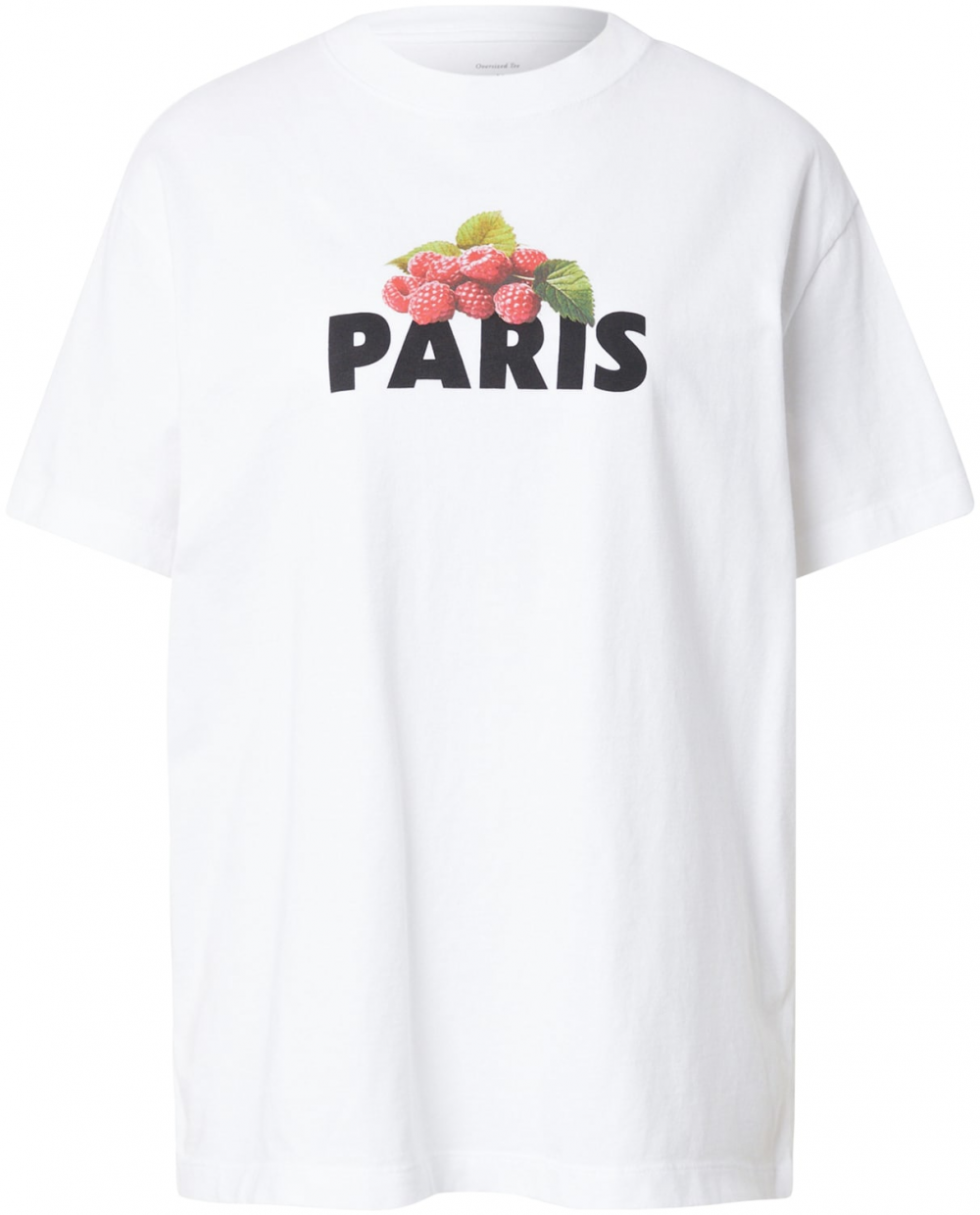 Abercrombie & Fitch Tričko 'PARIS RASPBERRY'  kiwi / čierna / biela