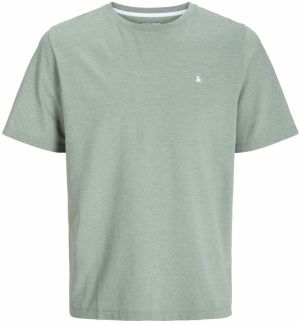 Jack & Jones Plus Tričko 'JJEPaulos'  pastelovo zelená / biela