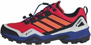 ADIDAS TERREX Poltopánky 'Skychaser'  striebornosivá / oranžová / brusnicová / čierna