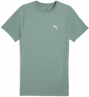 PUMA Funkčné tričko 'EVOSTRIPE'  pastelovo zelená