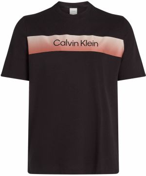 Calvin Klein Big & Tall Tričko  telová / gaštanová / čierna