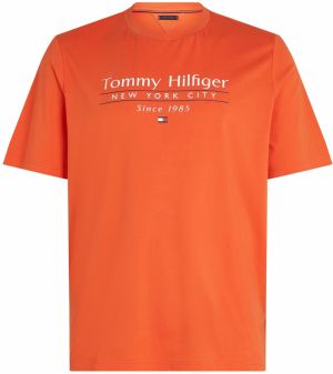 Tommy Hilfiger Big & Tall Tričko  námornícka modrá / tmavooranžová / rubínová / biela