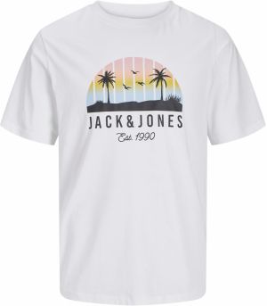 Jack & Jones Plus Tričko 'JJPALM'  svetlomodrá / ružová / čierna / biela
