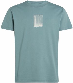 Calvin Klein Jeans Tričko  modrá / šedobiela