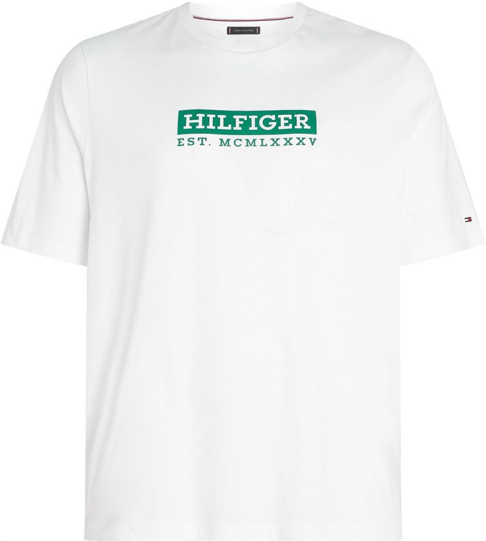 Tommy Hilfiger Big & Tall Tričko  zelená / biela